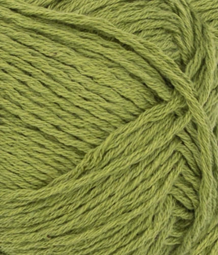 31169564_Matcha_300dpi_Close-up.jpg