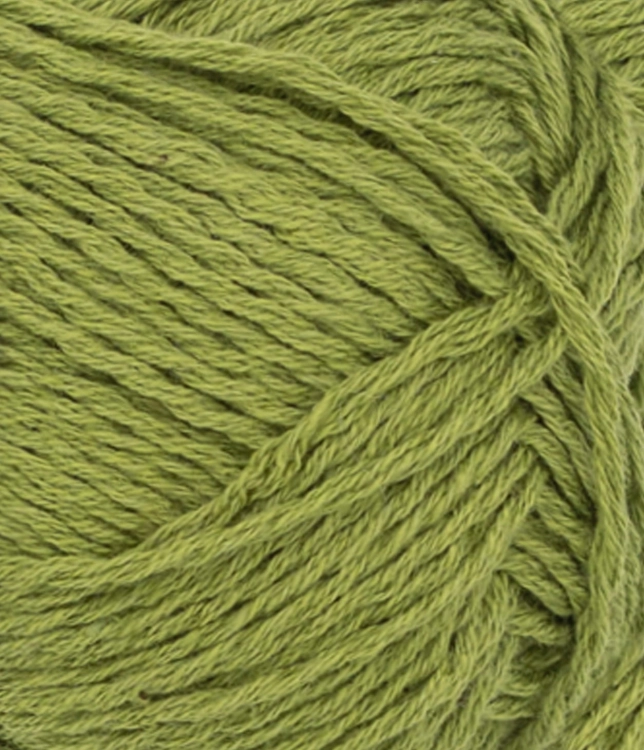 31169564_Matcha_300dpi_Close-up.jpg