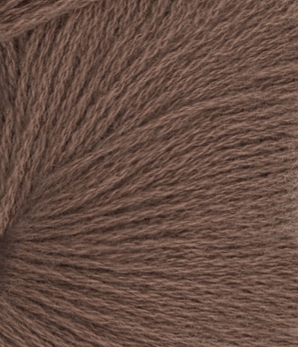 11643161_Acorn_300dpi_Close-up.jpg