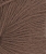 11643161_Acorn_300dpi_Close-up.jpg