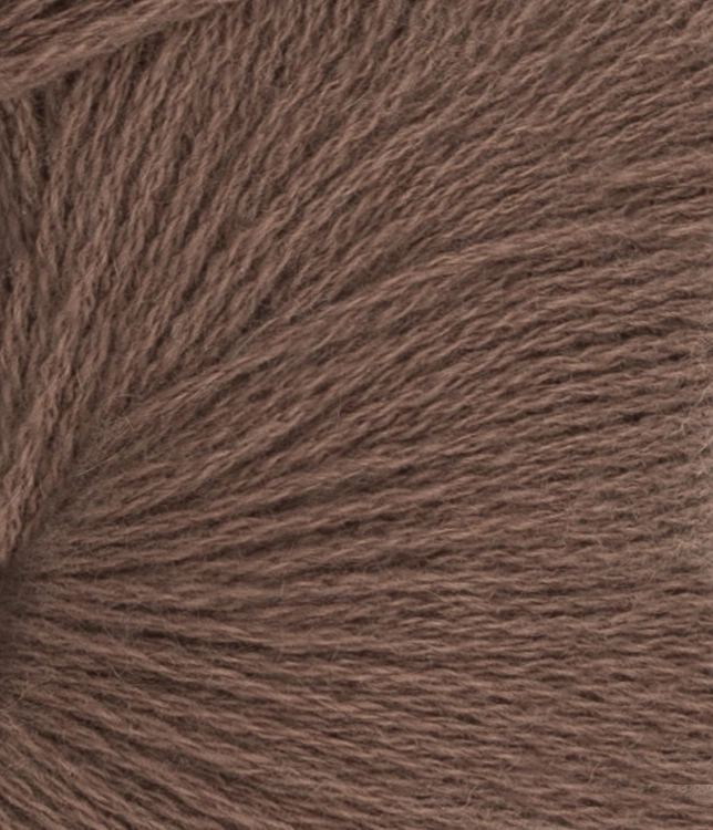 11643161_Acorn_300dpi_Close-up.jpg