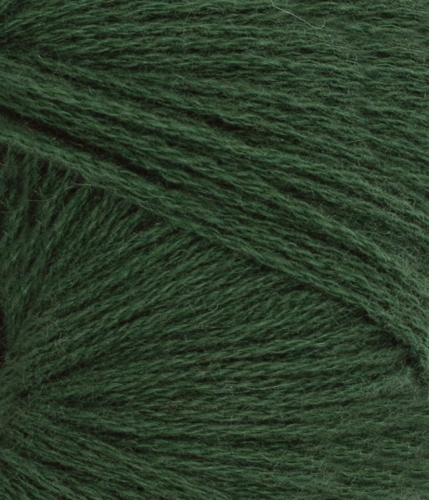 11648082_Forest-green_300dpi_Close-up.jpg