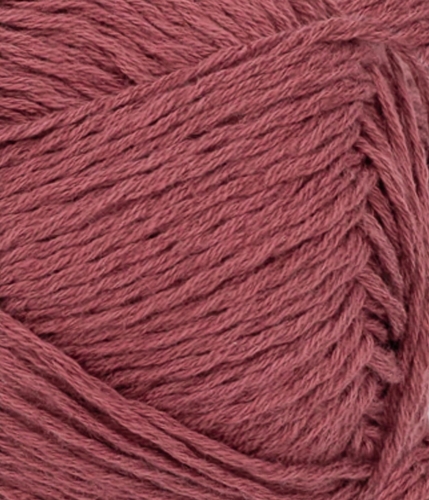 31164353_Rustic-rose_300dpi_Close-up.jpg