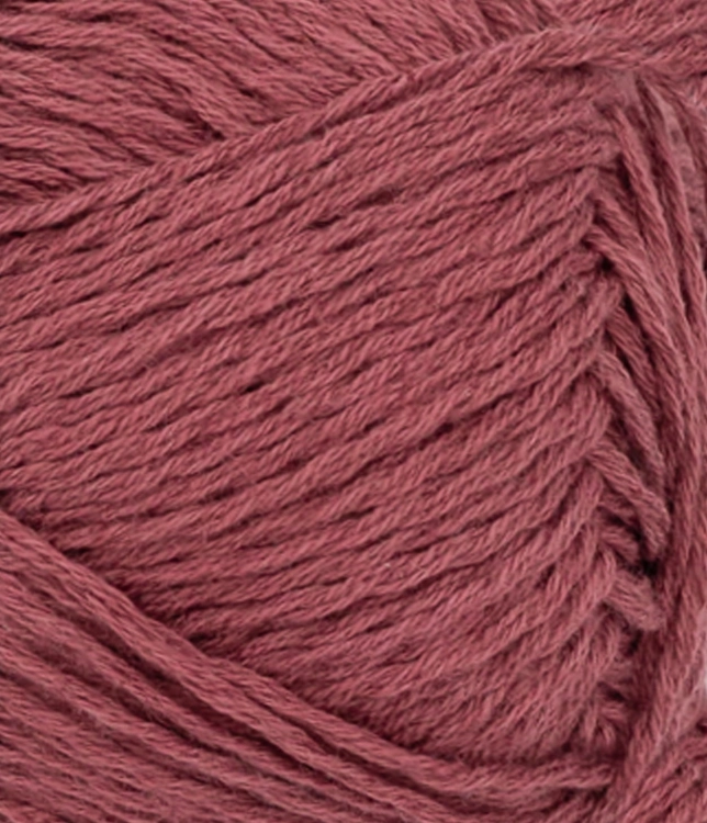 31164353_Rustic-rose_300dpi_Close-up.jpg