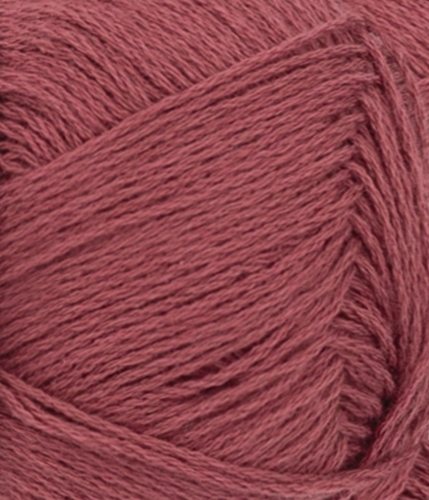 31184353_Rustic-rose_300dpi_Close-up.jpg