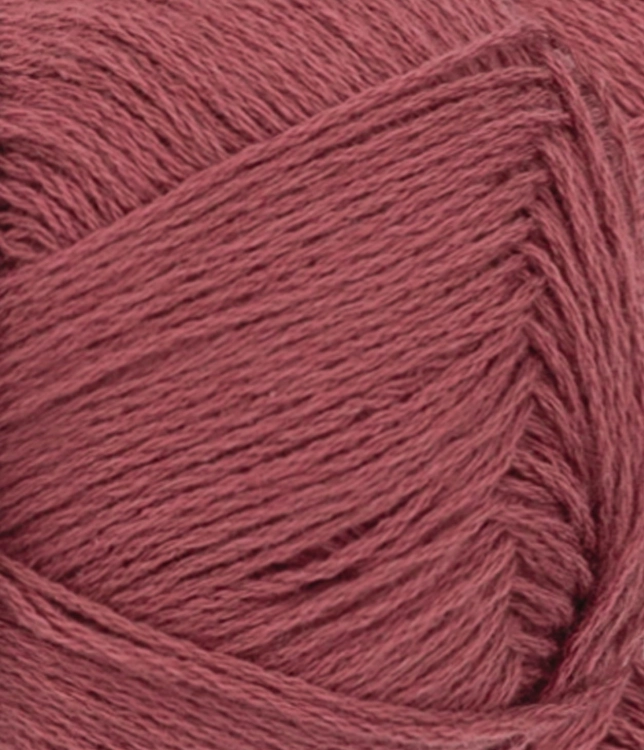 31184353_Rustic-rose_300dpi_Close-up.jpg