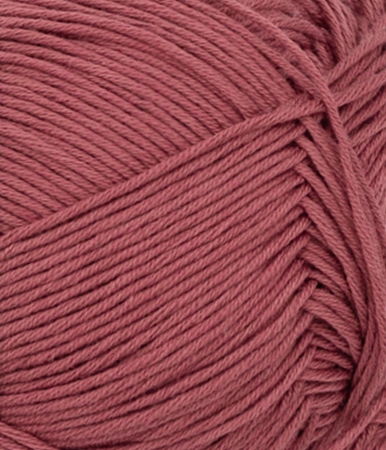 31044353_Rustic-rose_300dpi_Close-up.jpg