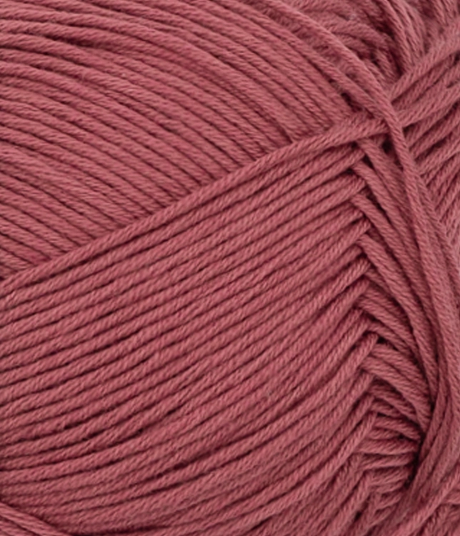 31044353_Rustic-rose_300dpi_Close-up.jpg