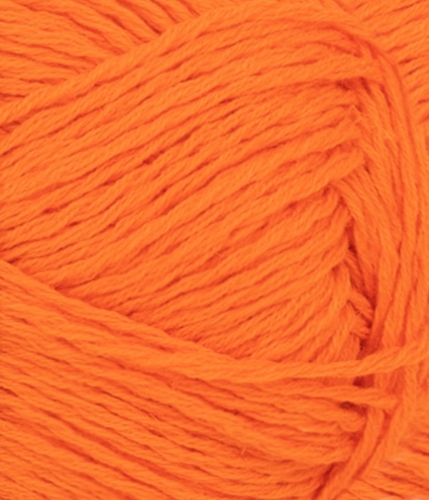 31163009_Orange-tiger_300dpi_Close-up.jpg