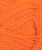 31163009_Orange-tiger_300dpi_Close-up.jpg