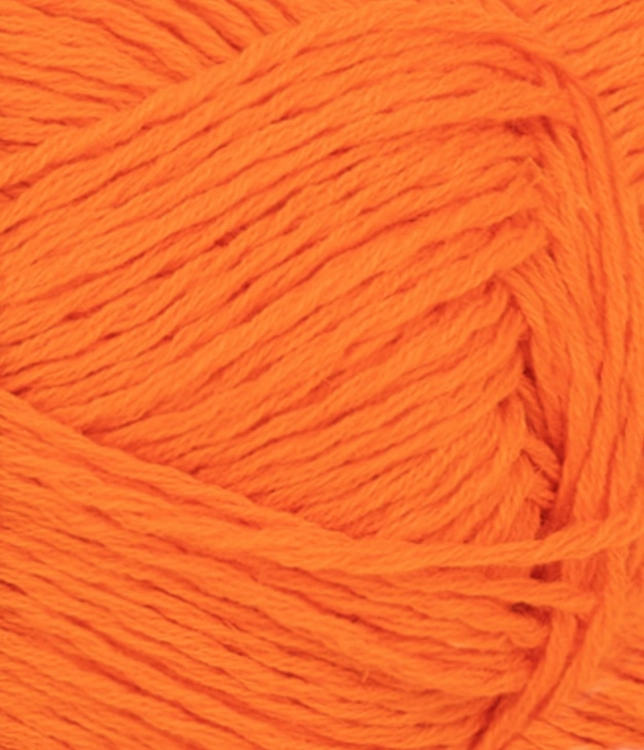 31163009_Orange-tiger_300dpi_Close-up.jpg