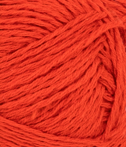 31163819_Spicy-orange_300dpi_Close-up.jpg