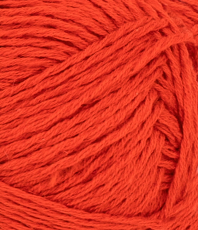 31163819_Spicy-orange_300dpi_Close-up.jpg