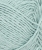 31167720_Bla-mint_300dpi_Close-up.jpg