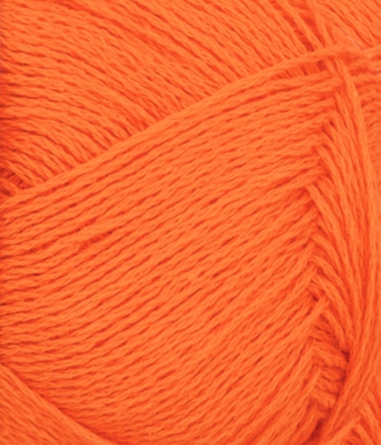 31183009_Orange-tiger_300dpi_Close-up.jpg