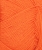 31183009_Orange-tiger_300dpi_Close-up.jpg