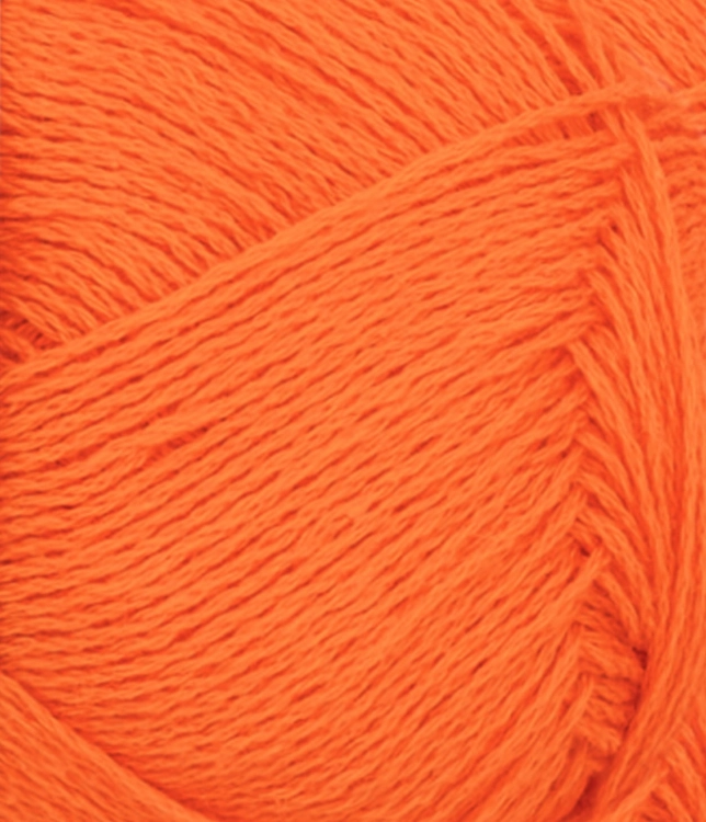 31183009_Orange-tiger_300dpi_Close-up.jpg