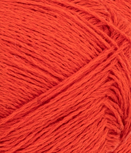 31183819_Spicy-orange_300dpi_Close-up.jpg