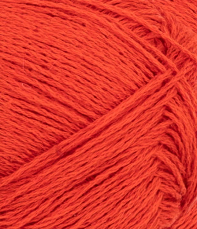 31183819_Spicy-orange_300dpi_Close-up.jpg