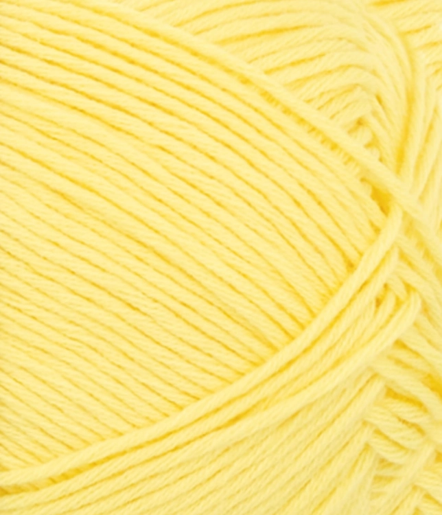 31049004_Lemon_300dpi_Close-up.jpg