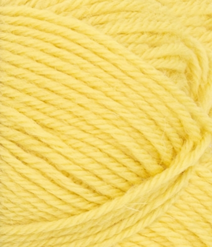 11019004_Lemon_300dpi_Close-up.jpg