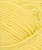 11019004_Lemon_300dpi_Close-up.jpg