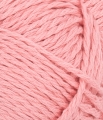 31224213_Blossom_300dpi_Close-up.jpg