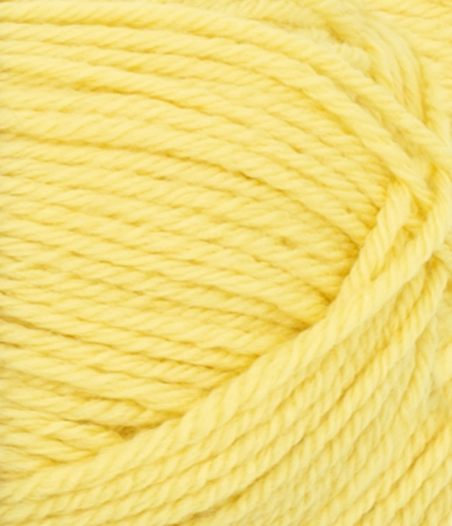 11159004_Lemon_300dpi_Close-up.jpg