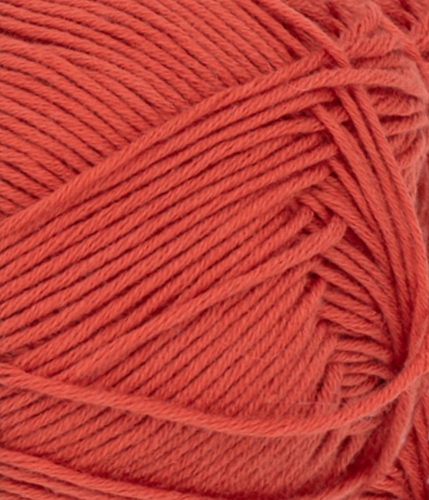 31043528_Chili_300dpi_Close-up.jpg