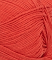 31044018_Scarlet-red_300dpi_Close-up.jpg