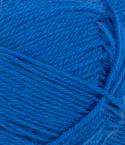 11086046_Jolly-Blue_300dpi_Close-up.jpg