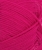 11084600_Jazzy-Pink_300dpi_Close-up.jpg