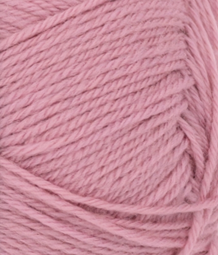 11084513_Gammelrosa_300dpi_Close-up.jpg