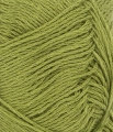 31189564_Matcha_300dpi_Close-up.jpg