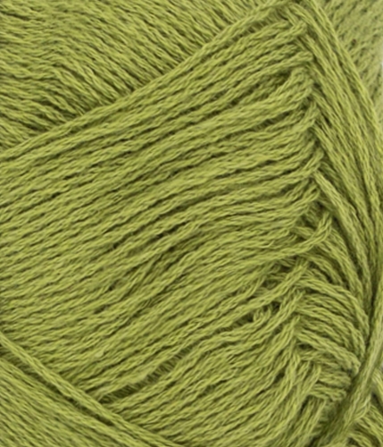 31189564_Matcha_300dpi_Close-up.jpg