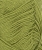 31189564_Matcha_300dpi_Close-up.jpg