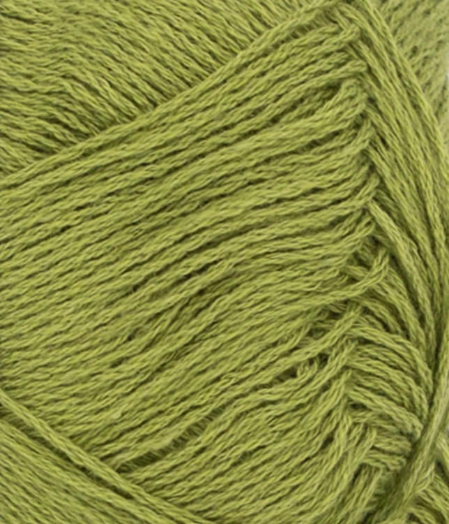 31189564_Matcha_300dpi_Close-up.jpg